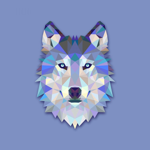 3S. x Home - Tableau Animal Design Blue Wolf 50x50 - La Déco Design