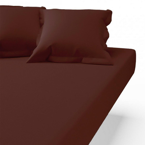 3S. x Tertio (Nos Unis) - Drap-housse coton TERTIO® - Chocolat - Drap housse 160 x 200 cm