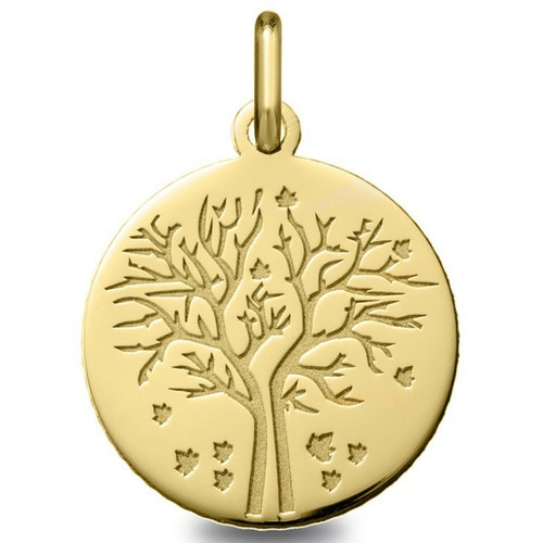 Argyor - Médaille Argyor 248400220 H1.8 cm - Or Jaune 750/1000 - Naissance et baptême