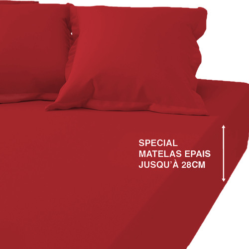 3S. x Tertio (Nos Unis) - Drap-housse grand bonnet coton TERTIO® - Rouge Carmin - Linge de lit rouge