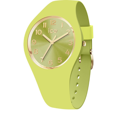 Montre Femme Ice-Watch ICE duo chic - Lime - Small+ - 3H - 021820 Vert Ice-Watch LES ESSENTIELS HOMME